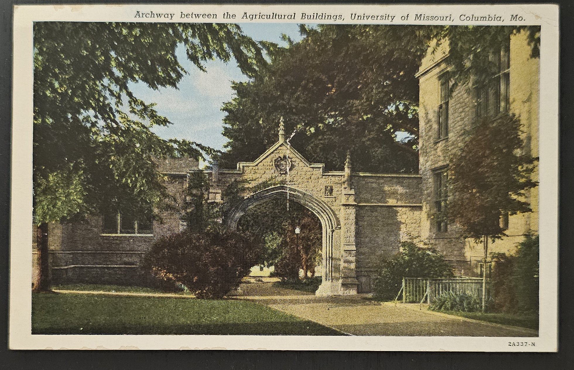 (image for) postcard USA - MT - Montana #0007